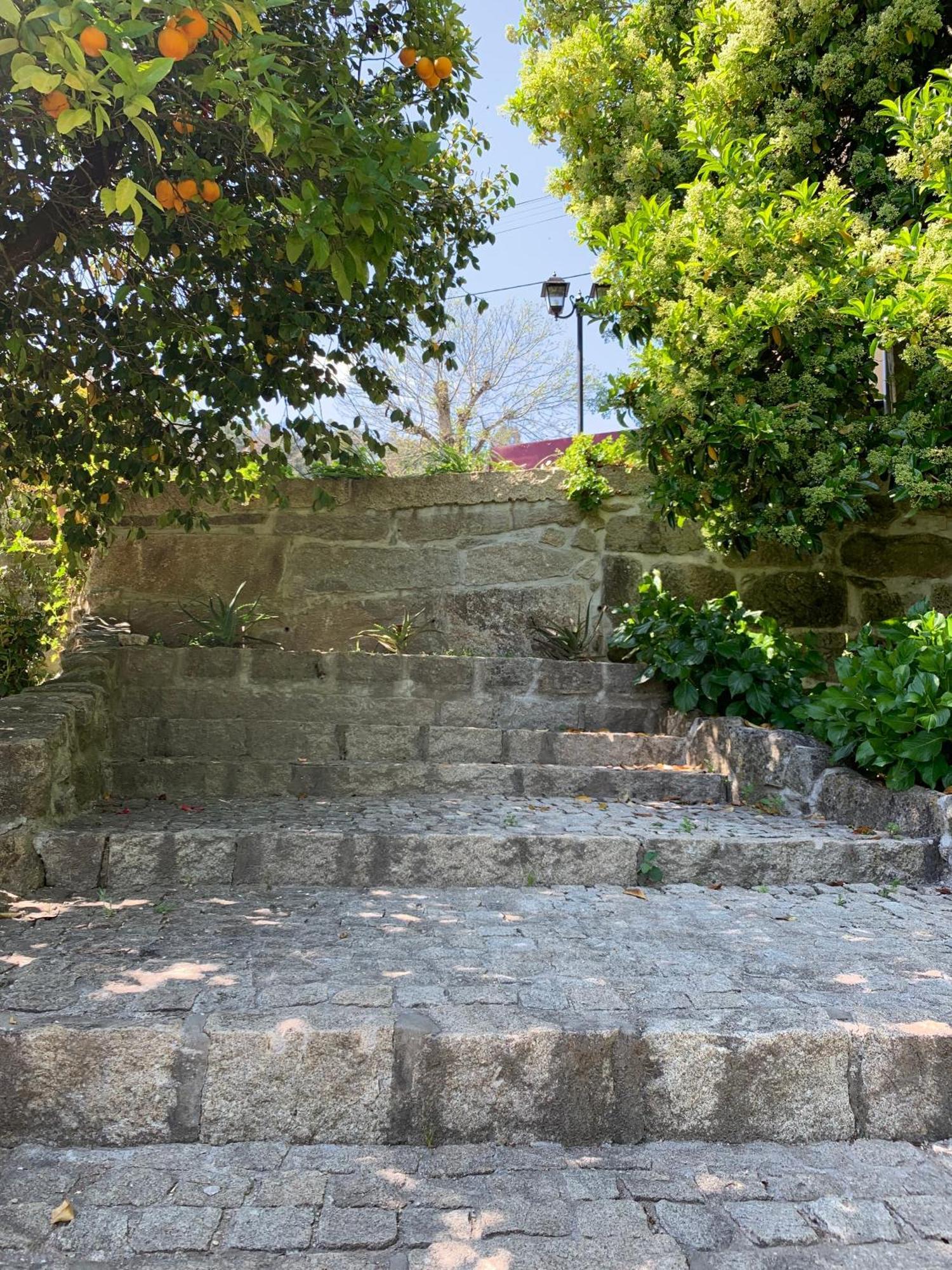 Quinta De Canhoes São Pedro do Sul Eksteriør bilde
