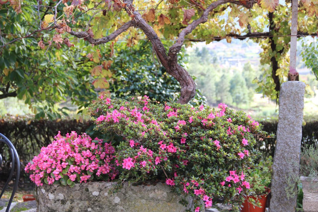 Quinta De Canhoes Guest House São Pedro do Sul Eksteriør bilde